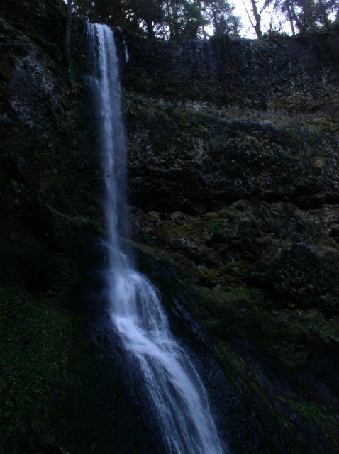 Silver Falls 12.10.05 070 